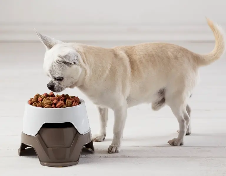 Миска для корма с регулируемой высотой Mimi 19x19x10/13h, коричневый - фото 7