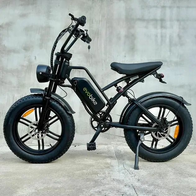 Електровелосипед Evobike e-Motion V9 (1000W 60V 21Ah) - фото 2