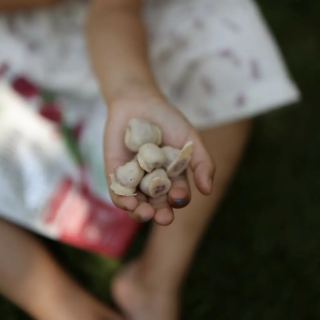 Малина сублимированная в белом шоколаде, 50г. - фото 4
