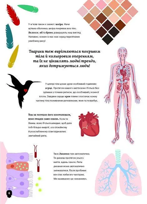Книга Тіло людини. Інфографіка / Христина Перебоні kni0004382 - фото 4