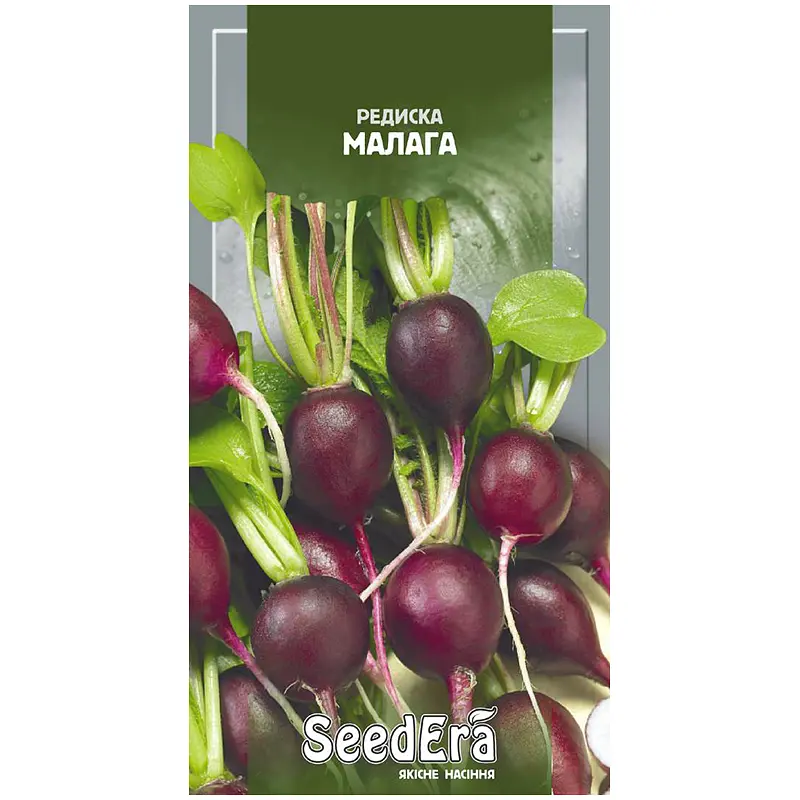 Редис SeedЕra Малага 1 г
