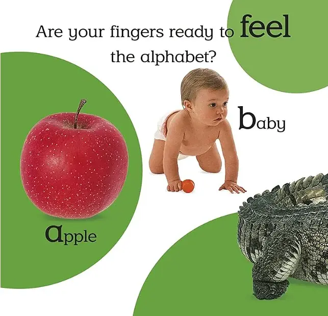 Touch and Feel. ABC - фото 2