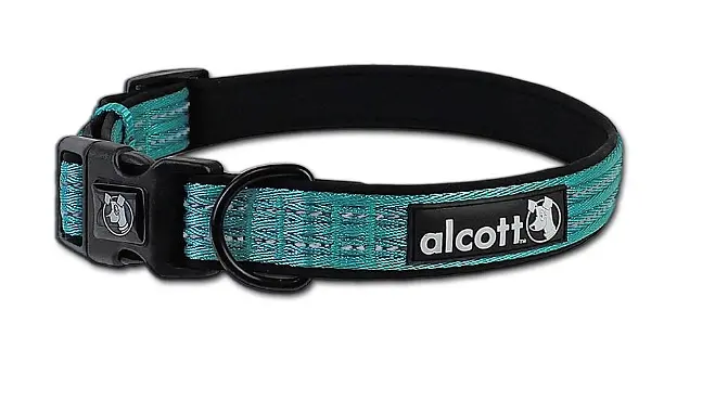 Нашийник для собак Alcott S, 25–35 см, синій