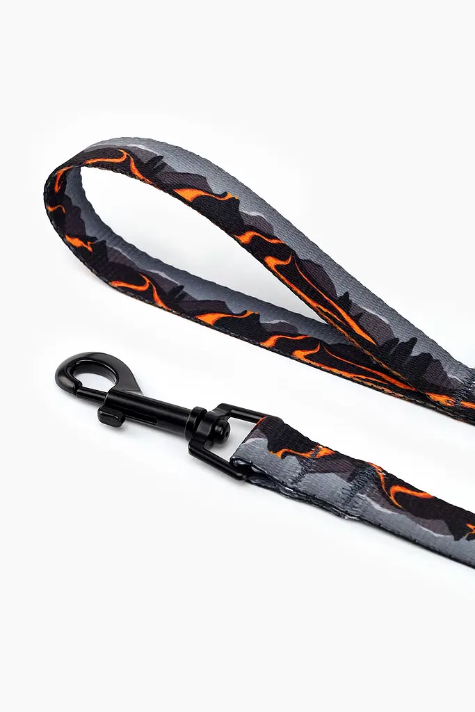 Повідець ТМ HIDOG Hawaii , ширина 20 мм (довжина 152 см) (2100102342010A)(SN) shop (2100102342010) - фото 3