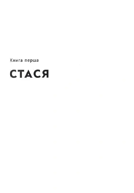 Восьме життя (для Брільки) - Ніно Харатішвілі - фото 13