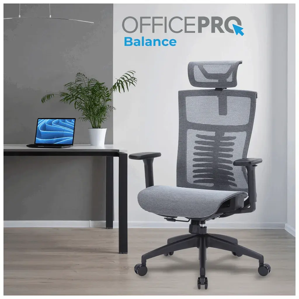 Офісне крісло OfficePro Balance OC620-B-DG-DG (OC620-B-DG-DG) - фото 3