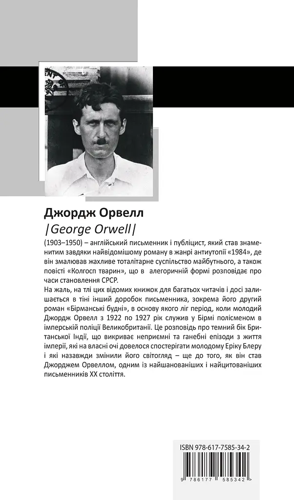 Бірманські будні - фото 2