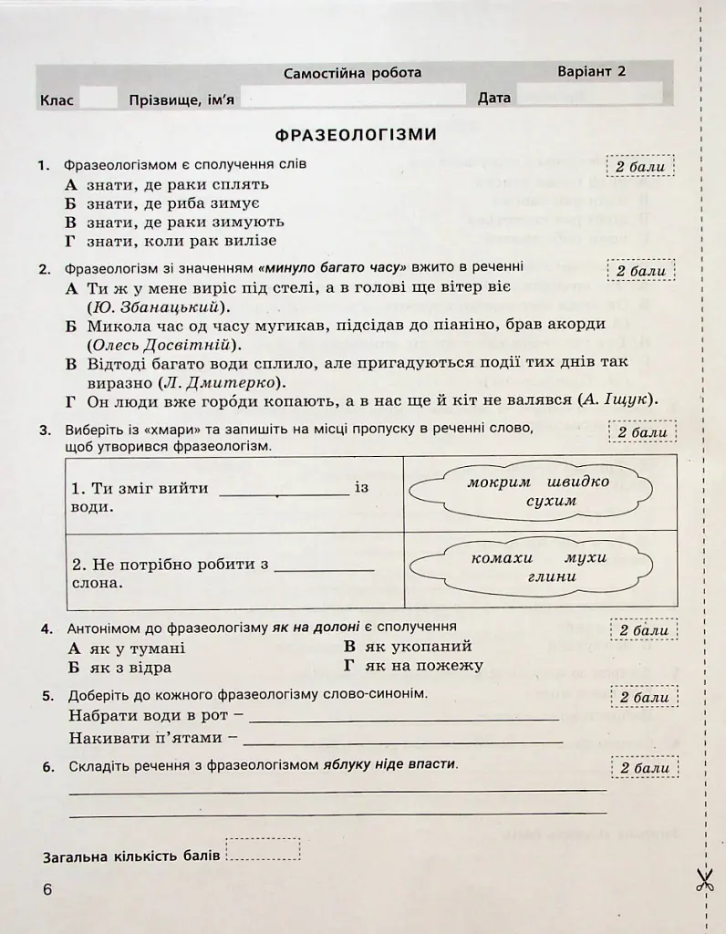 Українська мова. 6 клас. Контроль результатів навчання - Віктор Заболотний - фото 5