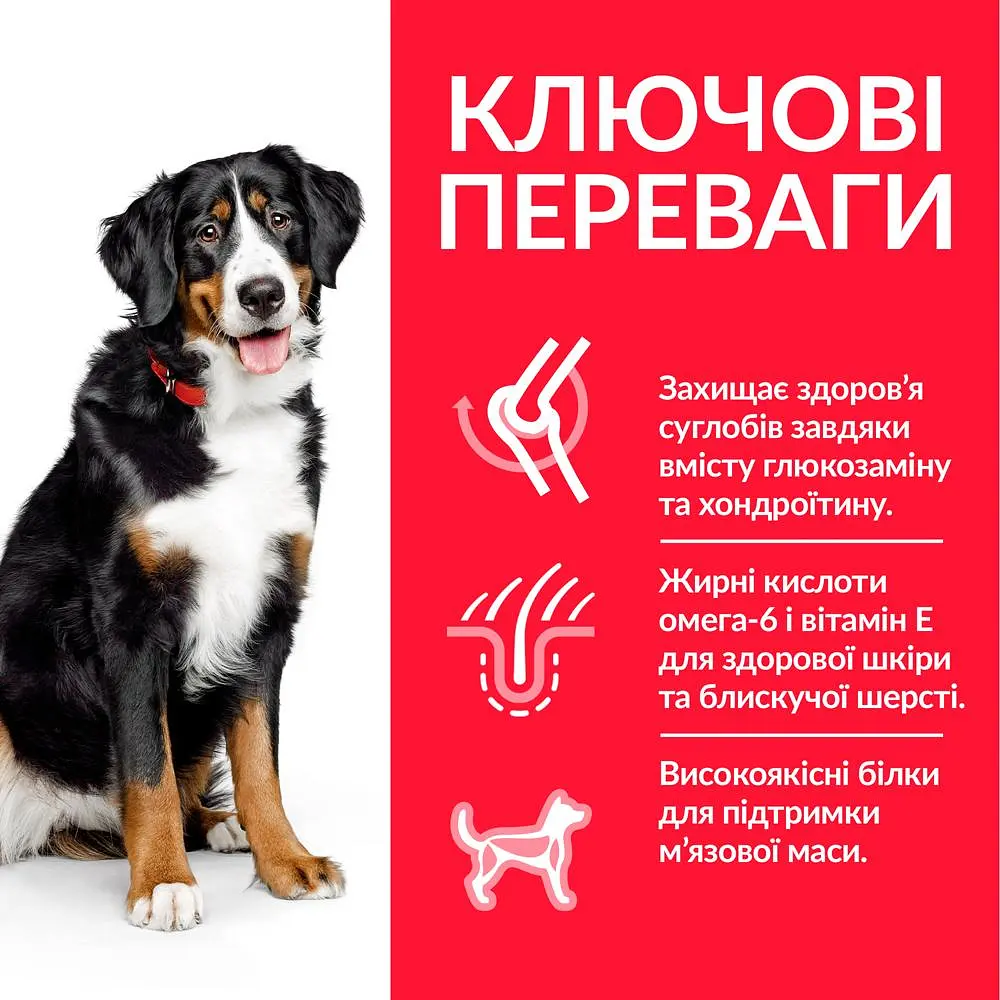 Сухой корм Hill's SP Adult Large Breed для взрослых собак больших пород с курицей 14 кг - фото 2