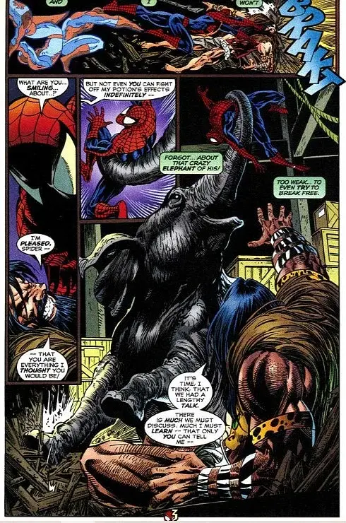 Spectacular Spider-Man #252 (1976 1st Series) - фото 3
