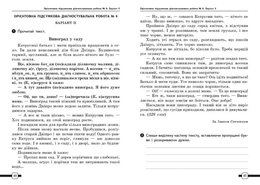 Підготовка до ДПА 2025/26. 4 клас. Українська мова та читання. Орієнтовні підсумкові діагностувальні роботи - фото 2