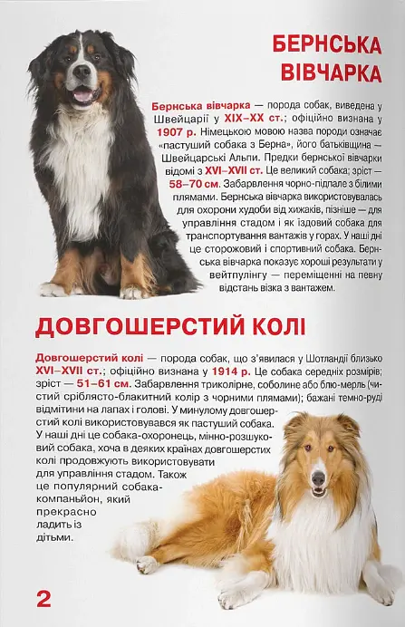 Велика книжка. Службові собаки - Олег Зав'язкин - фото 2