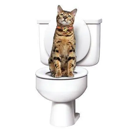 Система привчання котів до унітазу Туалет для кота Citi Kitty Cat Toilet Training - фото 3