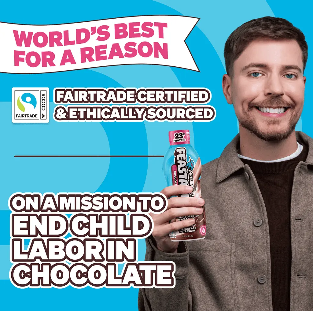 Шоколадне молоко Feastables MrBeast Protein Fortified Chocolate Milk 414 мл - фото 6