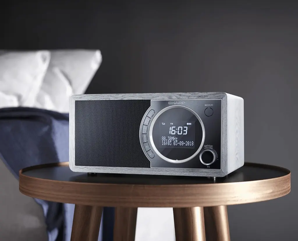 Радіоприймач колонка Sharp DR450GR Grey DAB+, FM RDS, Bluetooth, мережа - фото 5