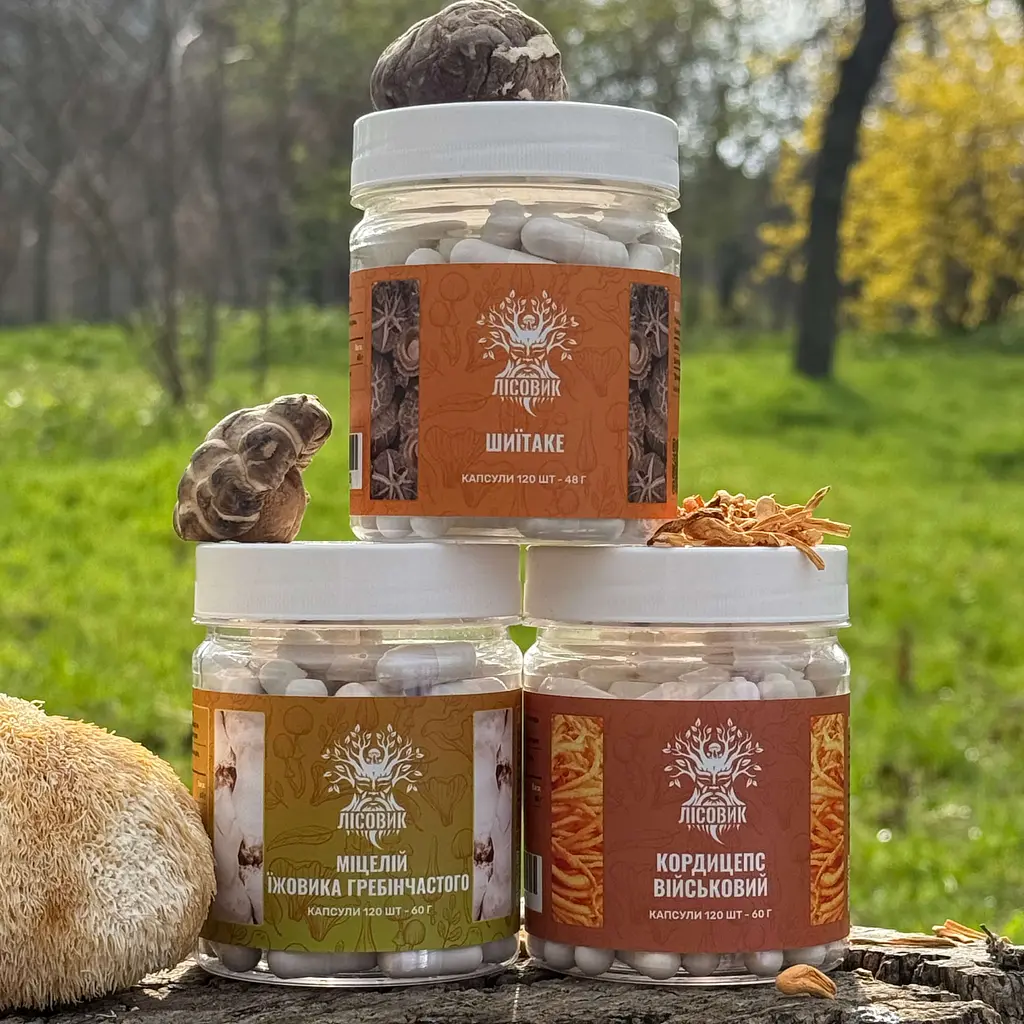 Курс Лісовик Focus Flow Концентрація та продуктивність на 2 місяці 360 капсул - фото 5