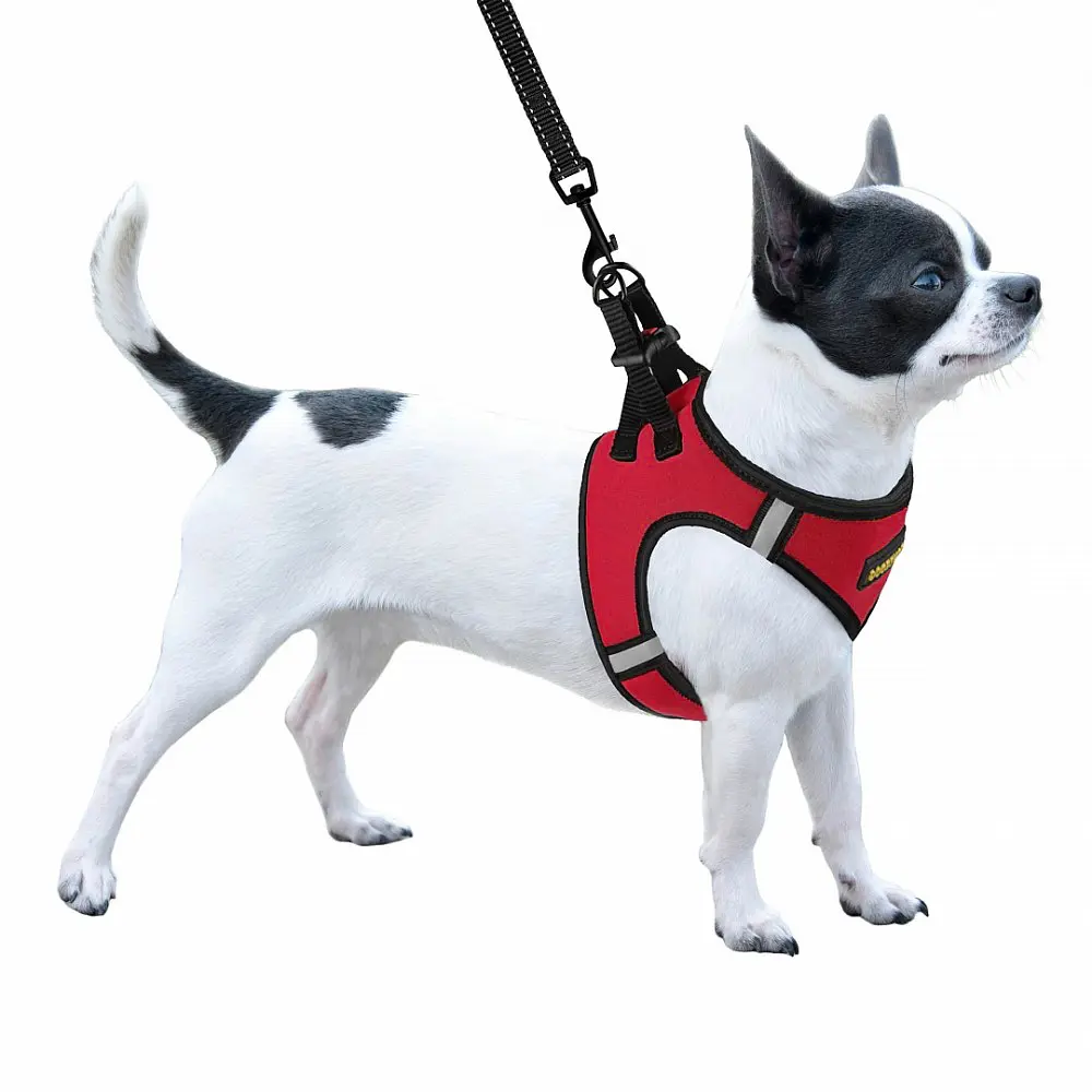 Шлея для собак Bronzedog Sport Vest M 24х18х3 см красная - фото 3