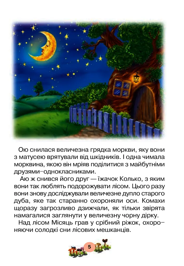 Портфоліо учня 1-го класу. Комплект наочності. НУШ - - фото 19
