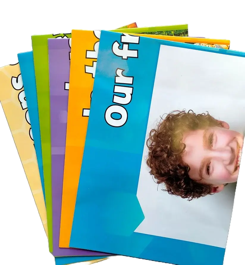 Beehive. Level 4. Classroom Resources Pack - фото 2