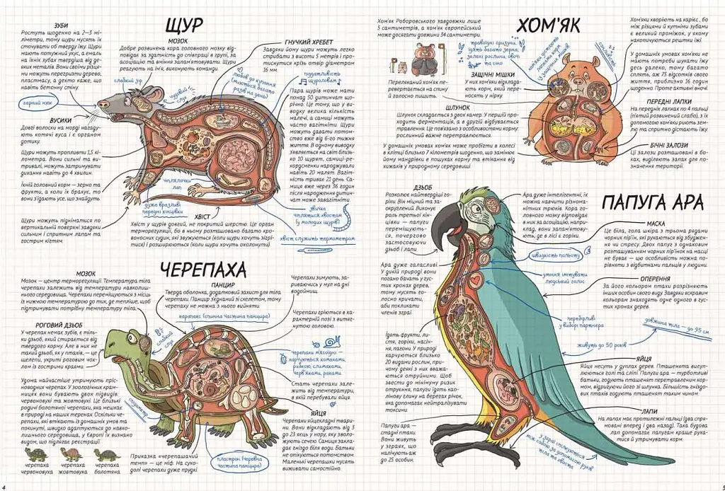 Тварини. Як це працює? - Нікола Кухарська - фото 3
