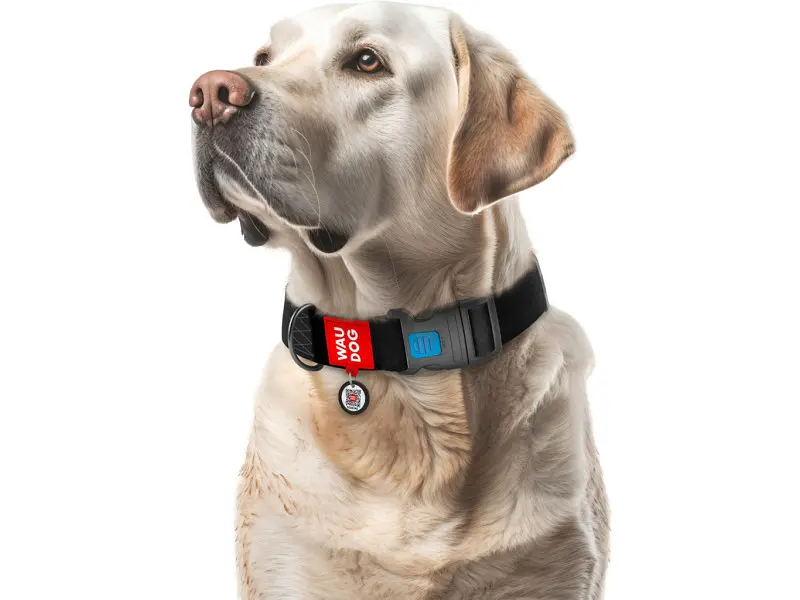 Ошейник для животных WAUDOG Waterproof с QR паспортом пластиковый фастекс XXL черный (25111) - фото 4