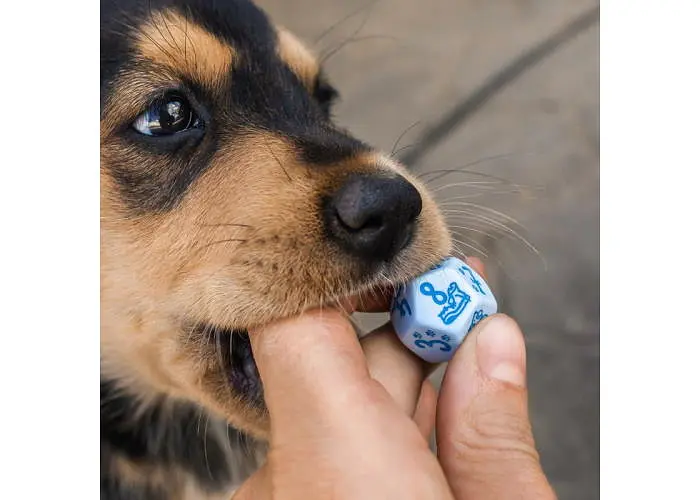 Набор кубиков DOGS Dice Set: Max , 7 шт. (SDOG02) - фото 9