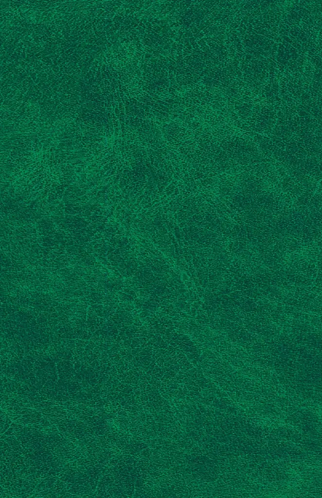 Українська діаспора - Іван Драч - фото 2