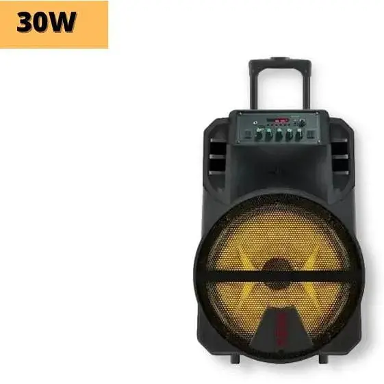 Портативна колонка бумбокс XPRO MD5-15 валіза 30Вт USB SD FM радіо Bluetooth 1 мікрофон ДУ (MER-15727) - фото 2
