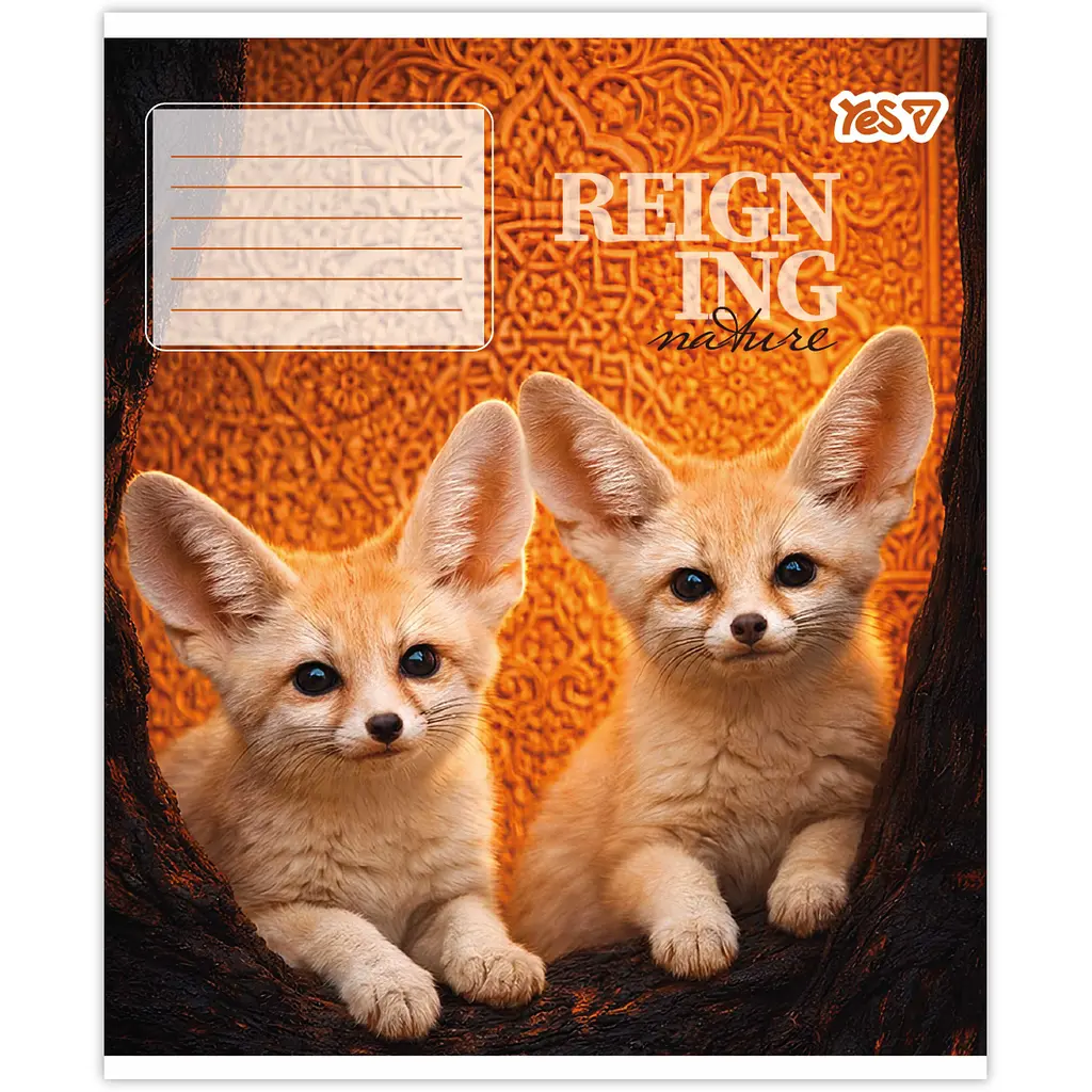 Зошит шкільний Yes Reign ing А5 24 аркуші лінія 20 шт. (769093) - фото 6
