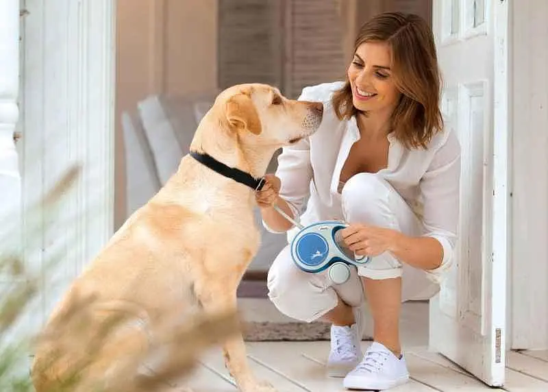 Повідець-рулетка Flexi New Comfort М для собак середніх порід стрічка 5 м до 25 кг синій - фото 5