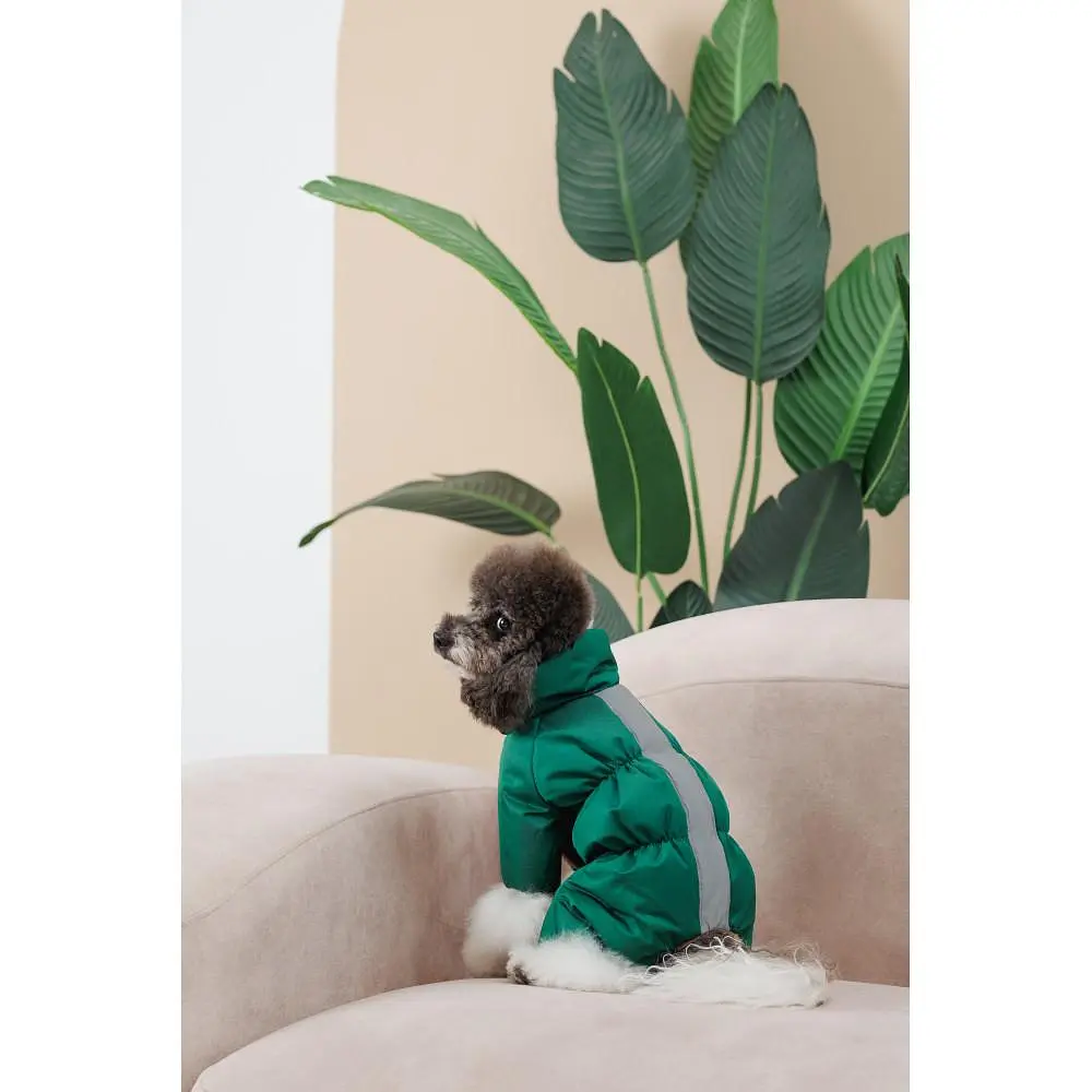 Комбінезон Pet Fashion EGO S2 зелений для собак - фото 8