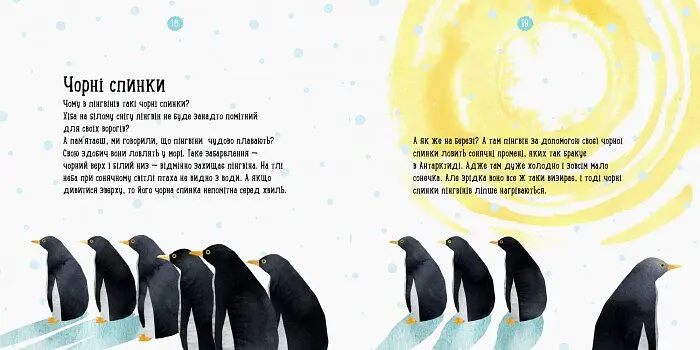 Книга Ранок Професор карапуз. Де живе пінгвін? - Чуб Наталія (S914006У) - фото 2