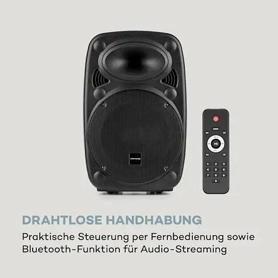 Мобильная акустическая система Auna Streetstar 2.0 12 BT USB/SD/MP3 AUX (10031567) - фото 3