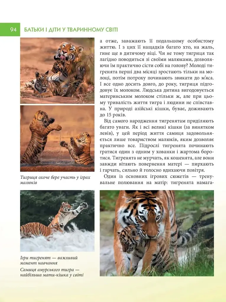 Енциклопедія для допитливих А5. Батьки і діти у тваринному світі - Андрій Гапченко - фото 4