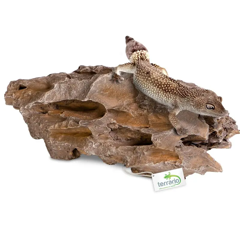 Декорація укриття Terrario Dragon Stone S 22x12x7см (22127) - фото 8
