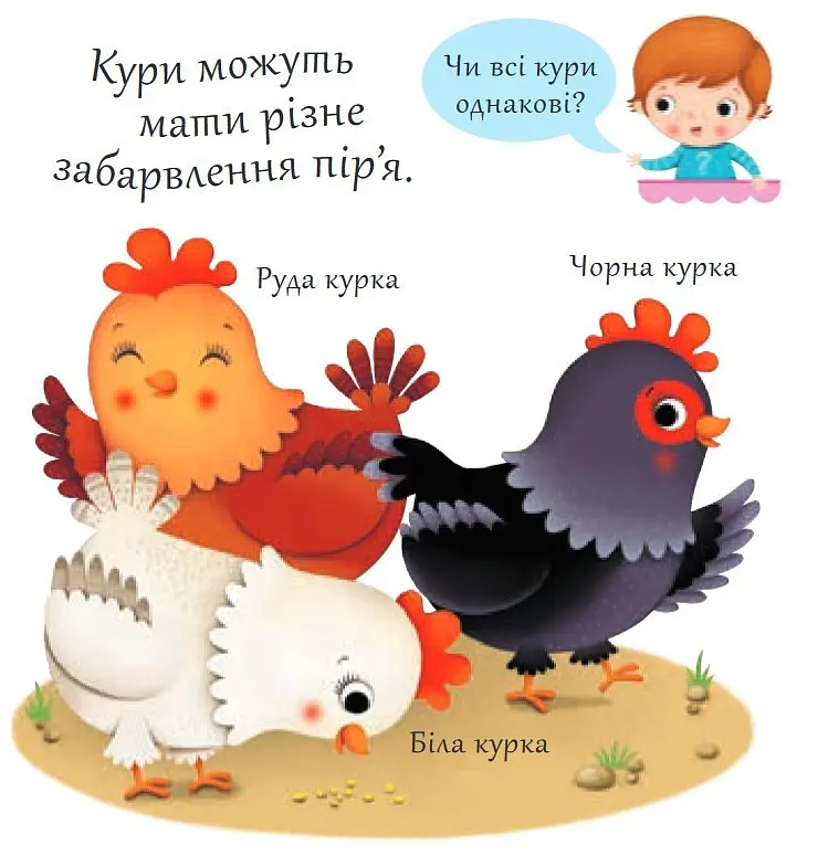 Книга Хто це? Кури. Автор - Емілія Бомон, Наталя Беліно (Богдан) - фото 3