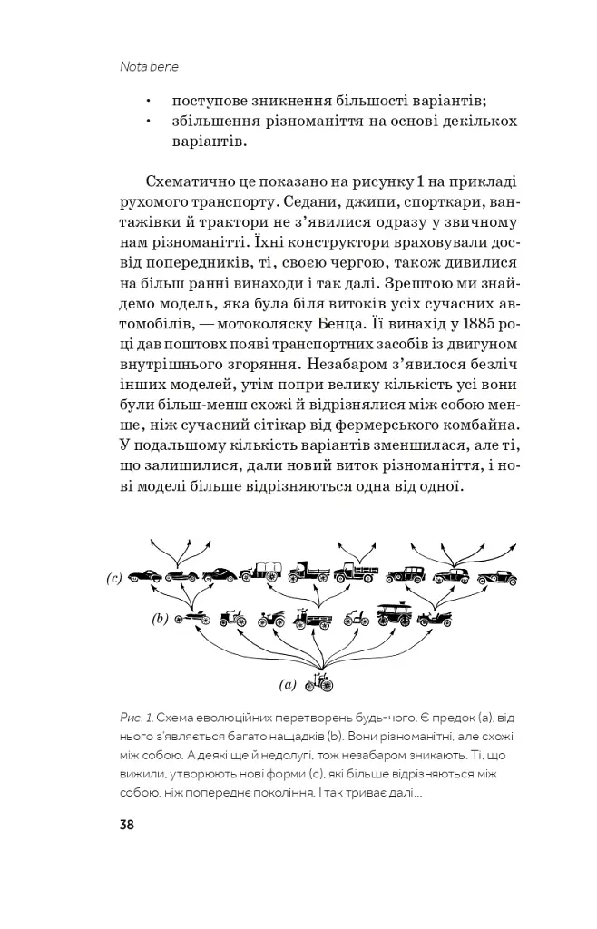 Слідуй за розбитим черепом. Історія еволюції скелета - фото 9