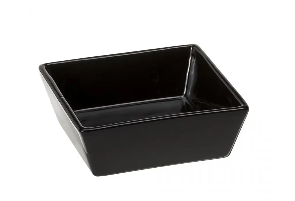 Миска для собак та котів Ferplast Altair 14 керамічна чорна 14x14x5 см 500 мл 71099317