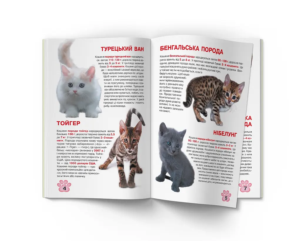 Велика книга Кристал Бук Кошенята (F00019383) - фото 3
