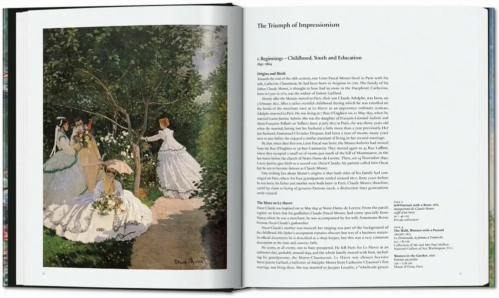 Monet. The Triumph of Impressionism - фото 2