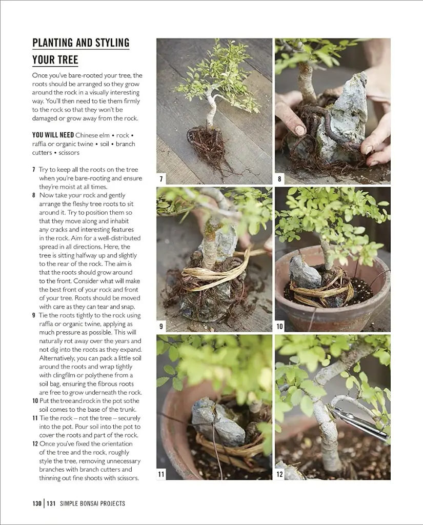 Grow Bonsai - фото 13