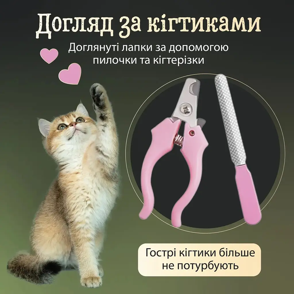 Набір інструментів для грумінгу Saeday SD-865 - фото 9