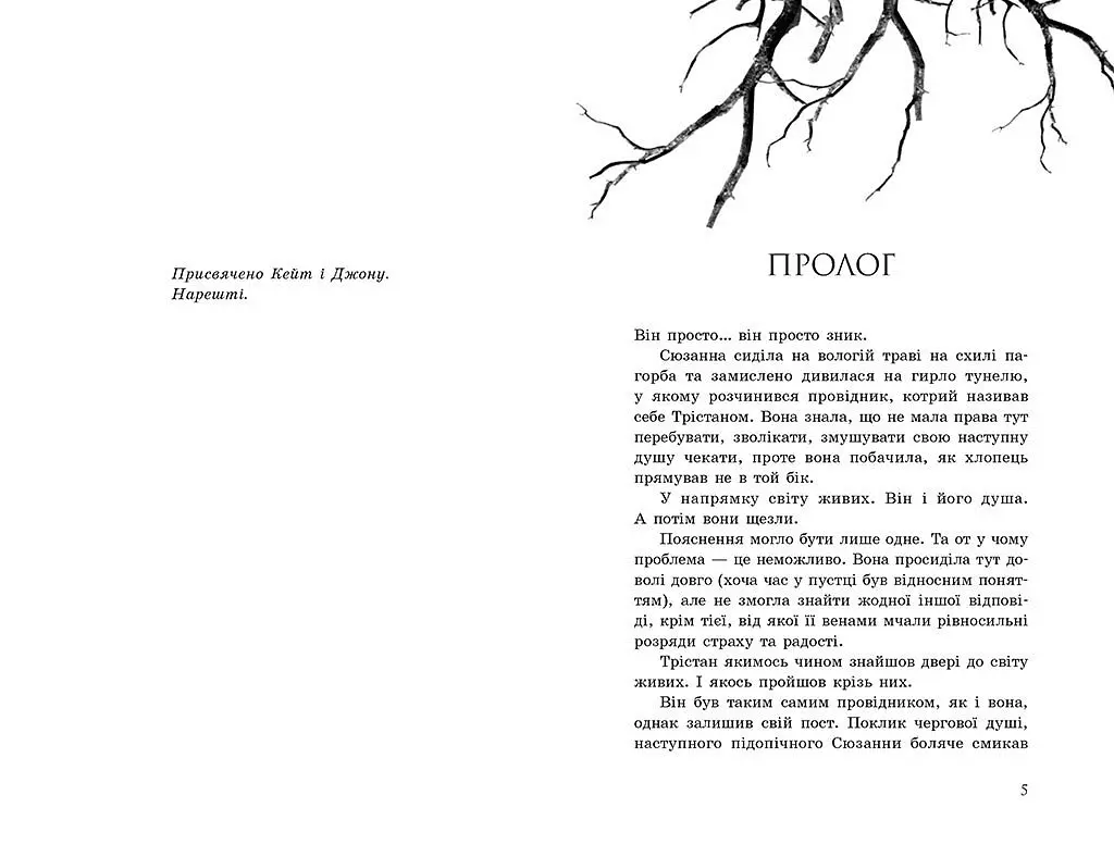 Порушники. Книга 2 - Клер Мак-Фолл (Ч1451002У) - фото 2