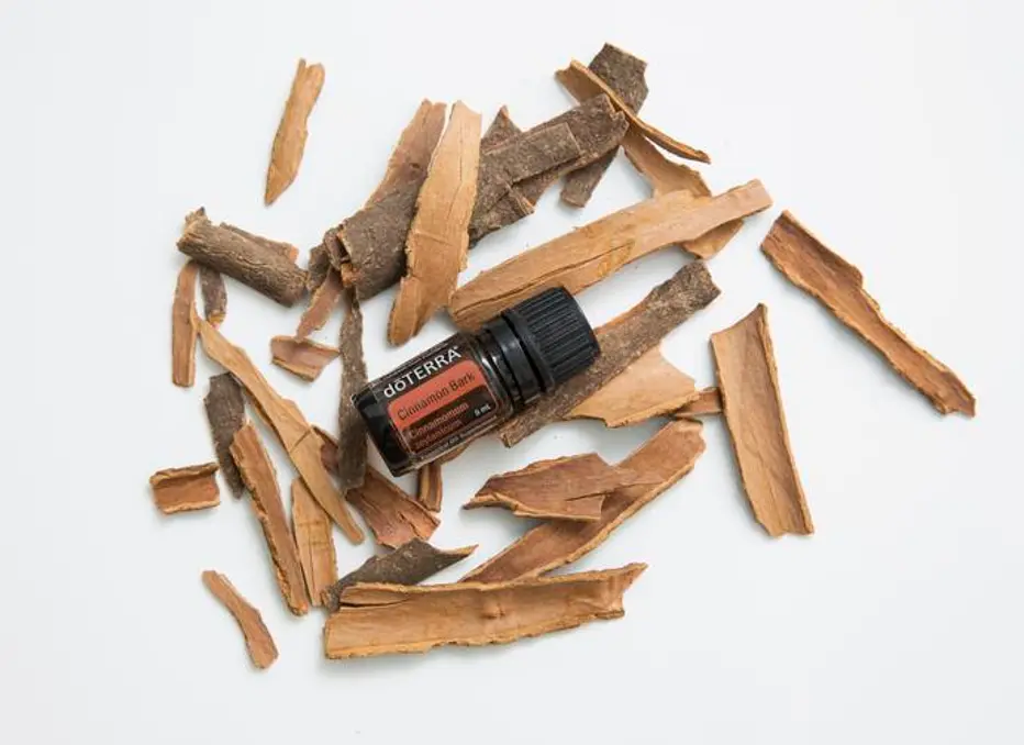 Ефірна олія кориці DoTERRA Cinnamon Bark, 5 мл - фото 2
