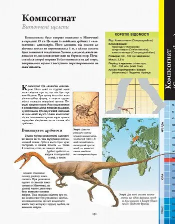 Динозаври. Велика енциклопедія - Пол Браун - фото 3