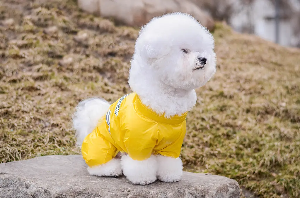 Комбінезон Smart Pet Limon - фото 2