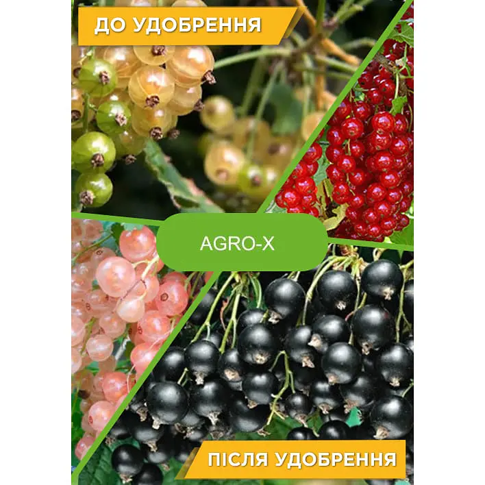 Минеральное удобрение Agro-x Biohyper extra Биохайпер Экстра для смородины 100 г (47905) - фото 3