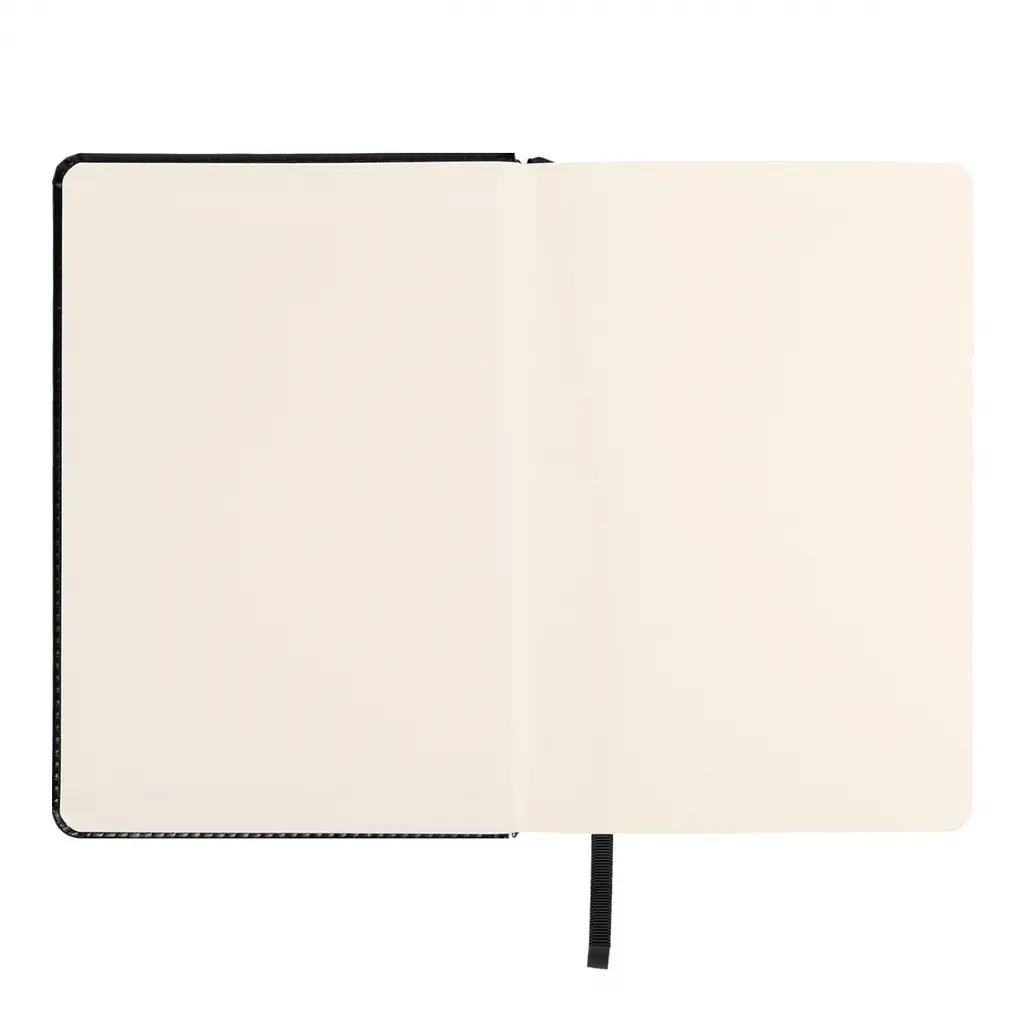 Щоденник діловий Leo Planner 2027 Vector А5 твердий чорний 368 сторінок (252760) - фото 3
