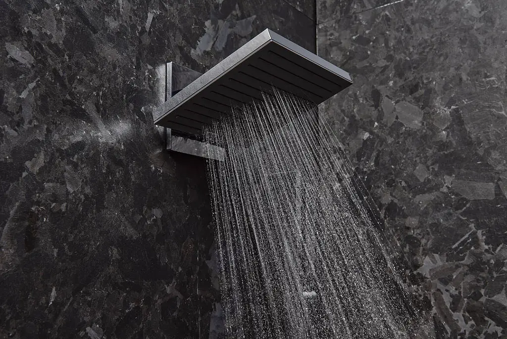 Верхній душ Hansgrohe Pulsify 260 2jet EcoSmart chrome 24351000 - фото 2