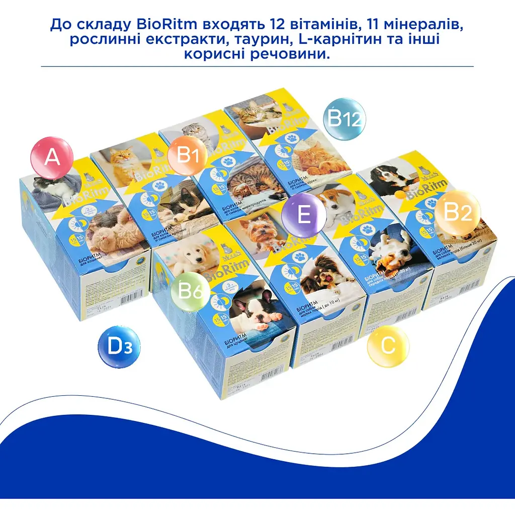 Поливитаминный комплекс Modes BioRitm для средних пород 10-30 кг 30 шт. - фото 6